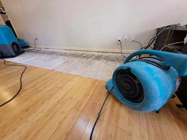 Reliable Basement Flood Cleanup contractor in Collegeport, TX by Hirex Water Damage