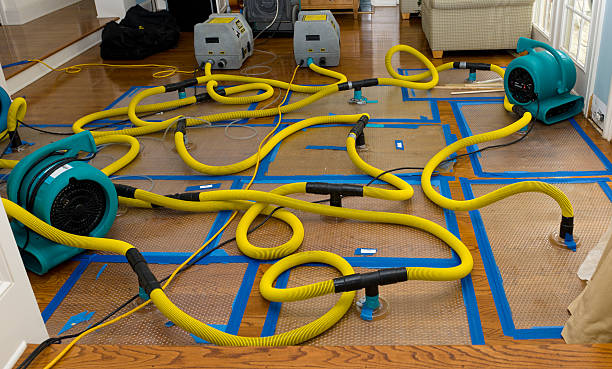 Professional Basement Flood Cleanup technician working in Collegeport, TX
